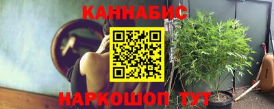 прущие грибы Комсомольск-на-Амуре