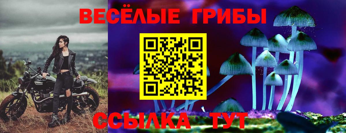 Галлюциногенные грибы мухоморы Кингисепп