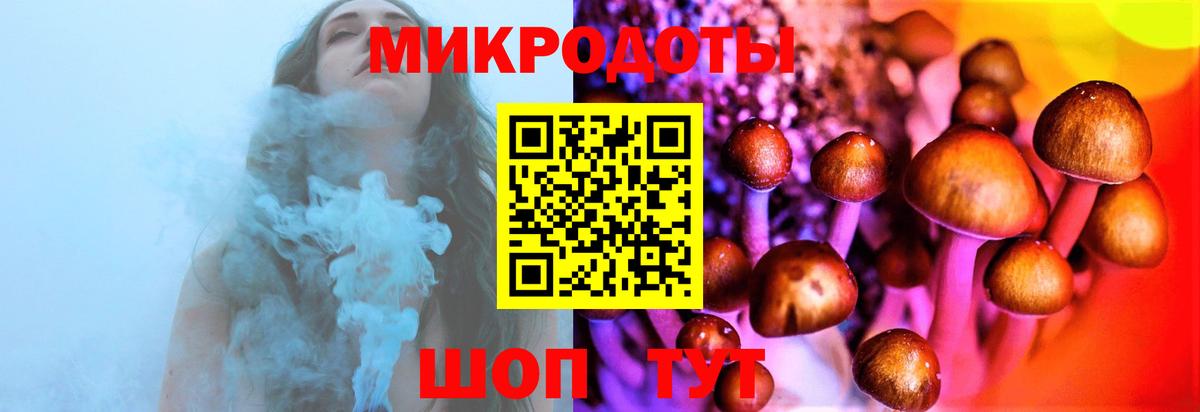 купить наркоту  Вход с VPN  Кингисепп  Галлюциногенные грибы Psilocybine cubensis 